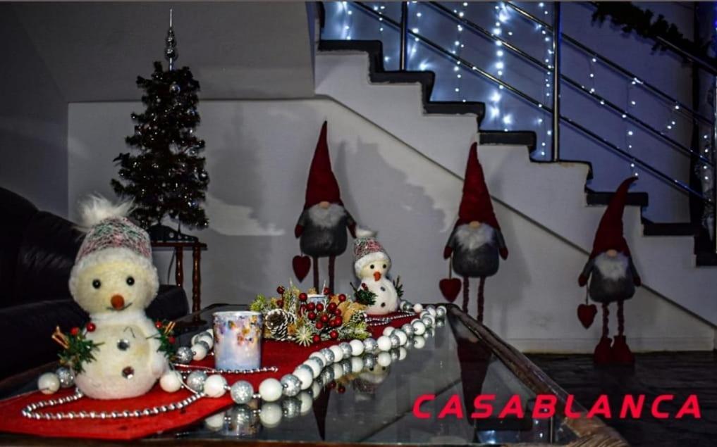 Ostello Casablanca Craiova Esterno foto