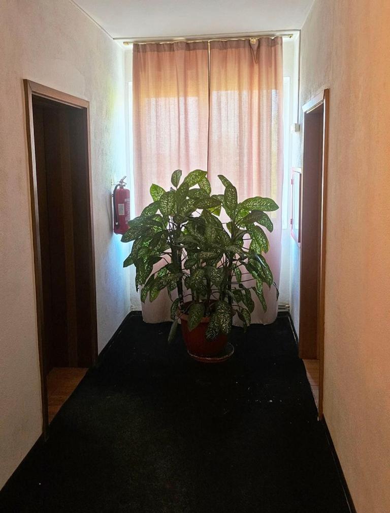 Ostello Casablanca Craiova Esterno foto